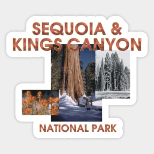 Sequoia National Park Sticker